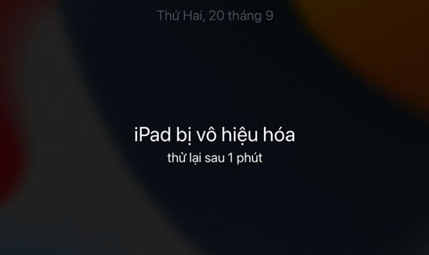 mo-khoa-ipad-khi-quen-mat-khau-1.jpg